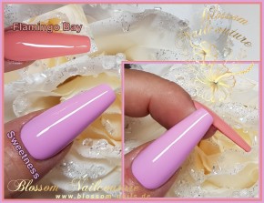 Fullsize Wonder Tips Ballerina 500 Stück Clear im Tipkasten - press on