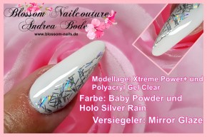 Holo Silver Rain 5ml